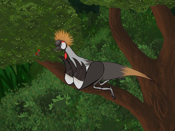 Jabu's Jungle - Crowned Crane