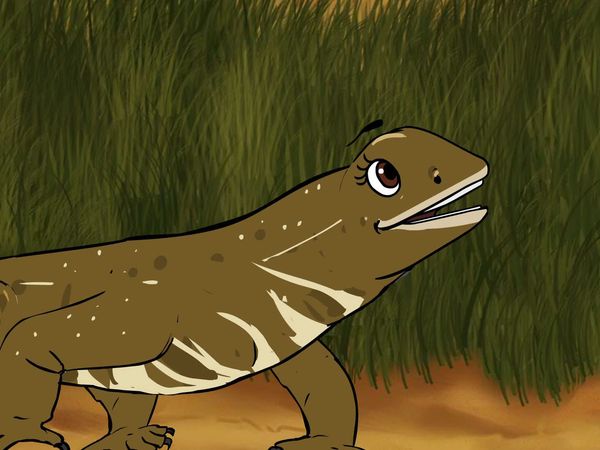 Jabu's Jungle - Savannah Monitor