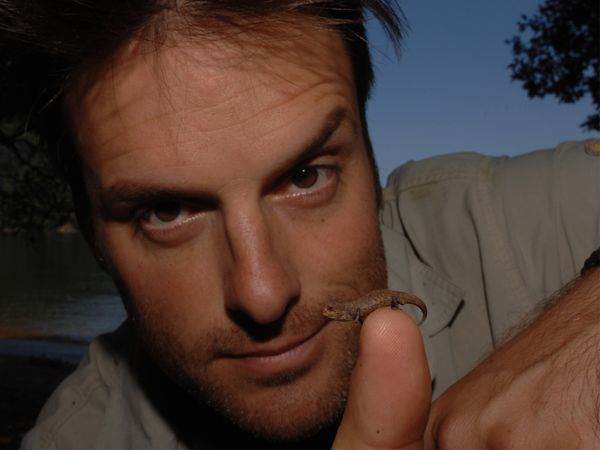 Nick Baker's Weird Creatures - The Invisible Lizard