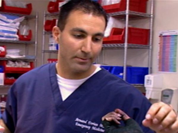 Untold Stories of the ER - The Golden Hour