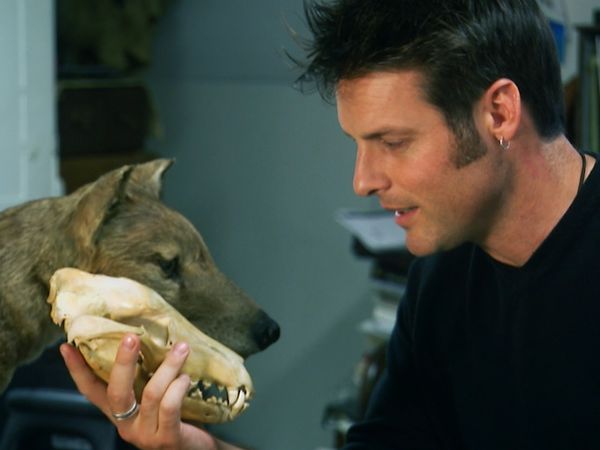Nick Baker's Weird Creatures - Marsupial Mole