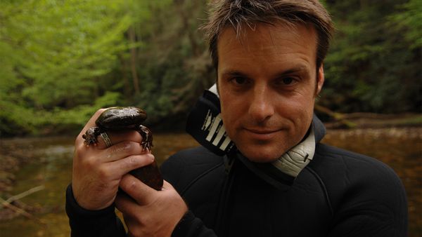Nick Baker's Weird Creatures - The Hellbender