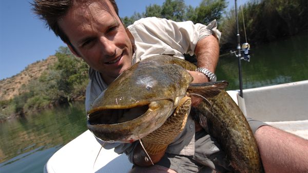 Nick Baker's Weird Creatures - The Frankenstein Fish