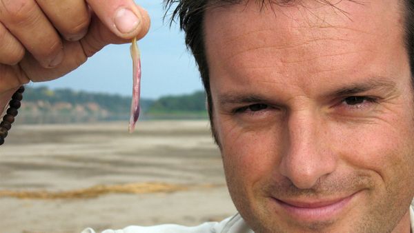 Nick Baker's Weird Creatures - Amazonian Vampire Fish