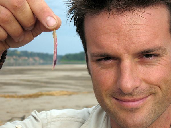 Nick Baker's Weird Creatures - Amazonian Vampire Fish