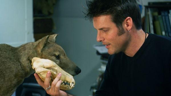 Nick Baker's Weird Creatures - Marsupial Mole