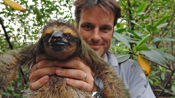 Nick Baker's Weird Creatures - Pygmy Sloth