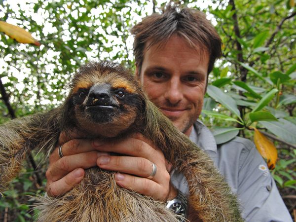 Nick Baker's Weird Creatures - Pygmy Sloth