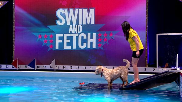 Superstar Dogs - Celebrity Special