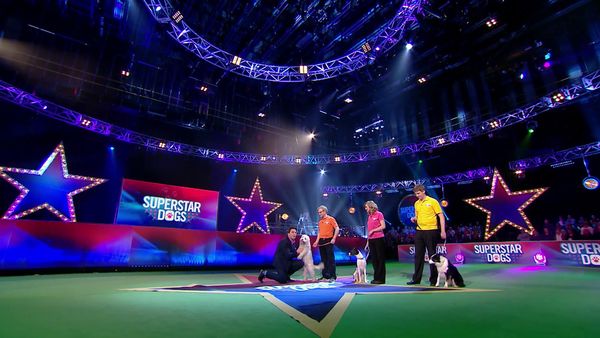 Superstar Dogs - Episode 2