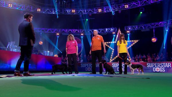 Superstar Dogs - Episode 14