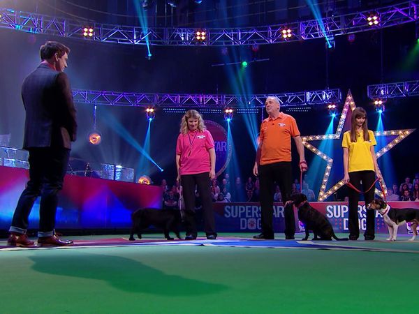Superstar Dogs - Episode 14