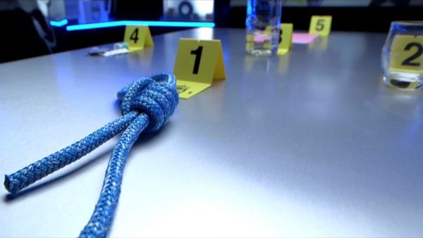 Crime Scene Solvers - Crime Scene Solvers: Mysterious Hanging On Houseboat (Aubry case)