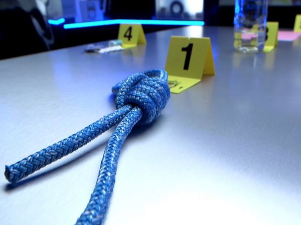 Crime Scene Solvers - Crime Scene Solvers: Mysterious Hanging On Houseboat (Aubry case)