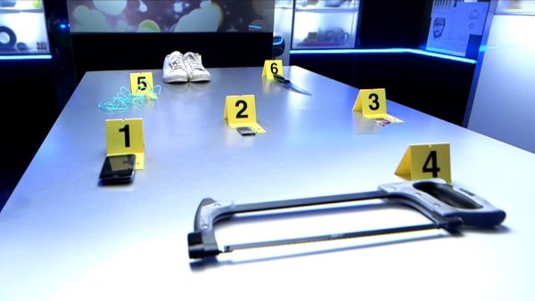 Crime Scene Solvers - Crime Scene Solvers: Ordeal of Schoolgirl (Perrais case)