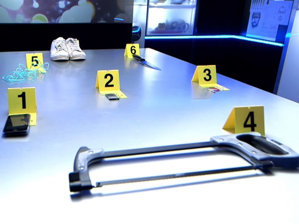 Crime Scene Solvers - Crime Scene Solvers: Ordeal of Schoolgirl (Perrais case)