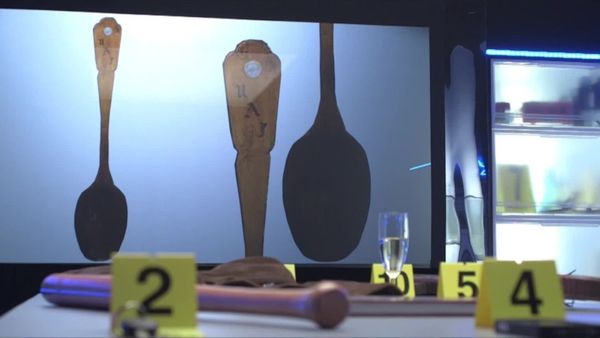 Crime Scene Solvers - A Fatal Student Night (Stéphane Kameugne Case)