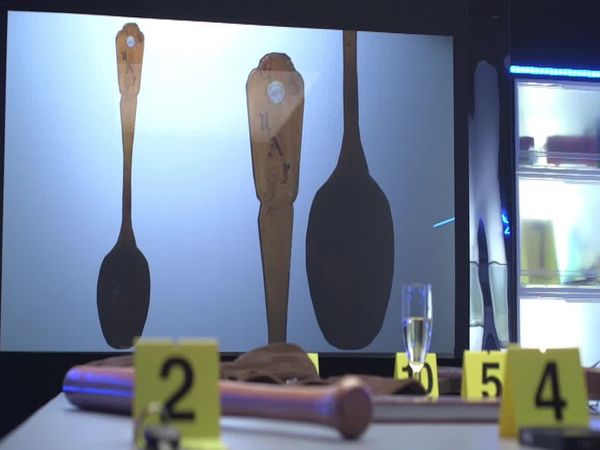 Crime Scene Solvers - A Fatal Student Night (Stéphane Kameugne Case)