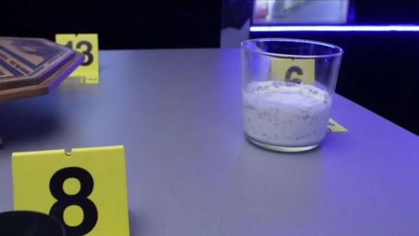 Crime Scene Solvers - The Pierre and Gabrielle Labrell Case