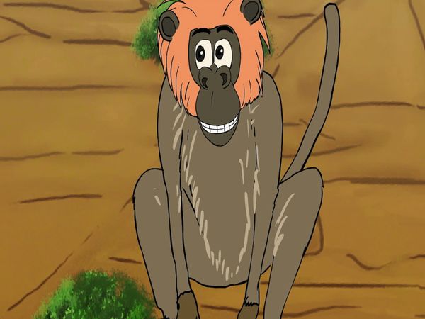 Jabu's Jungle - Baboon