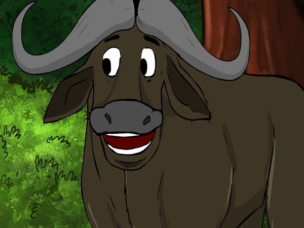 Jabu's Jungle - Buffalo