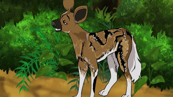 Jabu's Jungle - Painted Dog