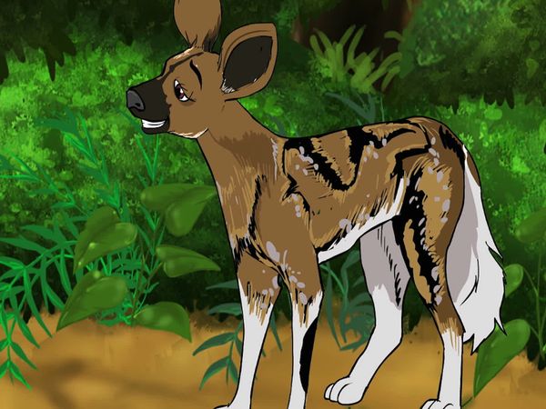 Jabu's Jungle - Painted Dog