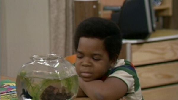 Arnold: Minha Família é uma bagunça - A Crise da Sra. Garrett