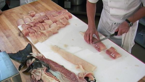 Hell's Kitchen Censored - 14 Chefs Compete