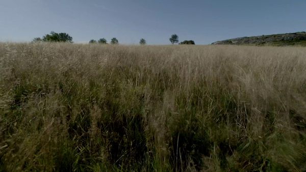 Skønne ombygninger - Episode 606