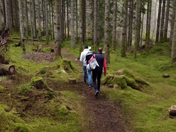 Eventyrlig oppussing - Episode 702