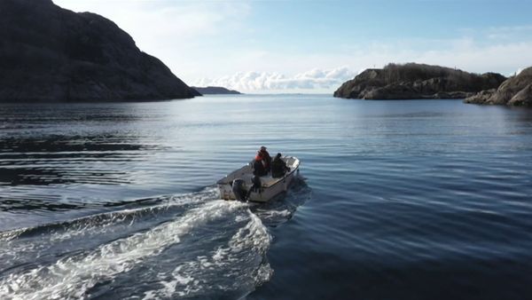Eventyrlig oppussing - Episode 703