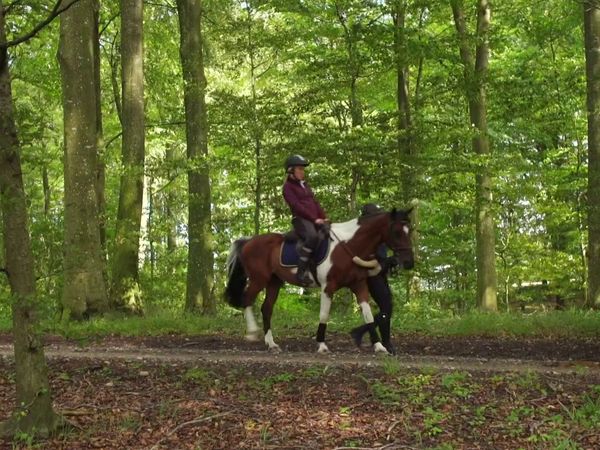 Forsidefruer - Episode 703