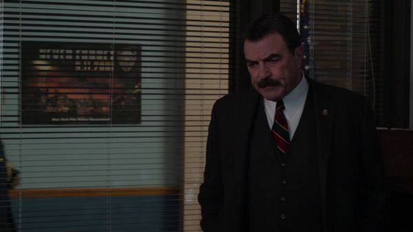 Blue Bloods - In the Box