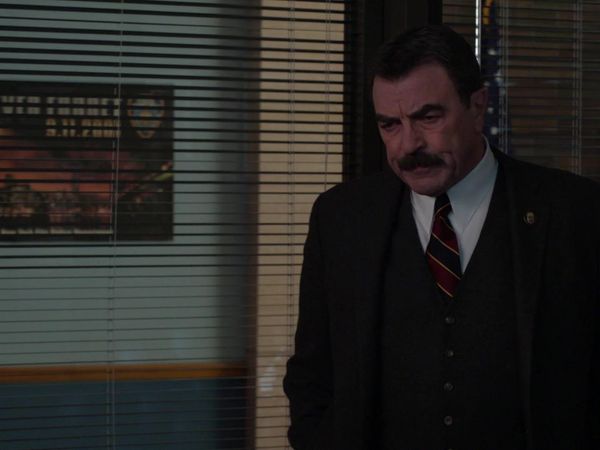 Blue Bloods - In the Box