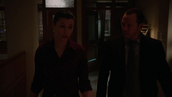Blue Bloods - Occupational Hazards