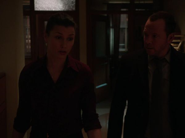 Blue Bloods - Occupational Hazards