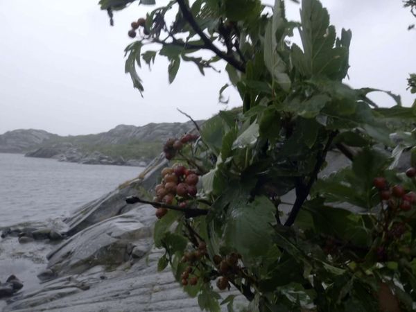 Skønne ombygninger - Episode 406