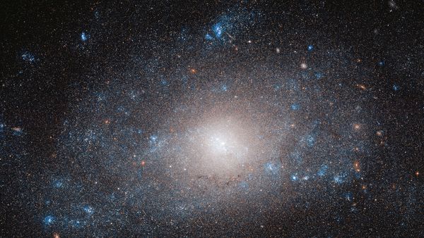 Spacetime - Die dunkle Seite - Schwarze Löcher und unsichtbare Materie