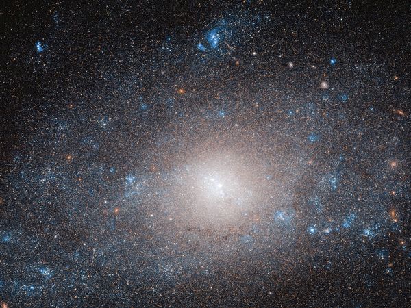 Spacetime - Die dunkle Seite - Schwarze Löcher und unsichtbare Materie