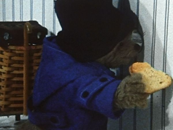 Paddington Bear - Episodio 8