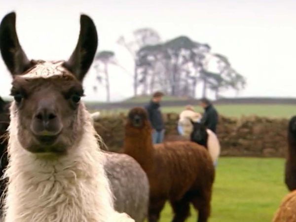 Build a New Life in the Country - Hexham