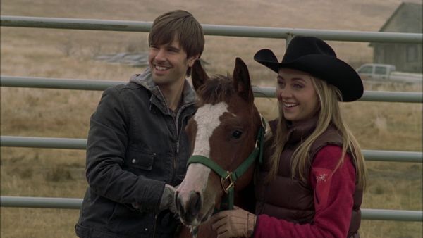 Heartland en español - Caballos salvajes