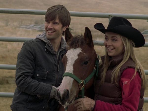 Heartland en español - Caballos salvajes
