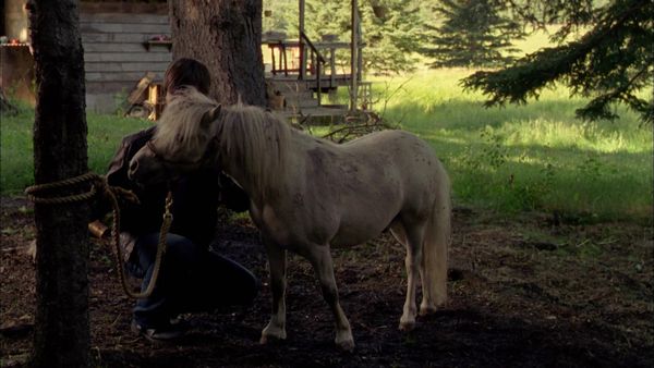Heartland en español - Nada por sentado
