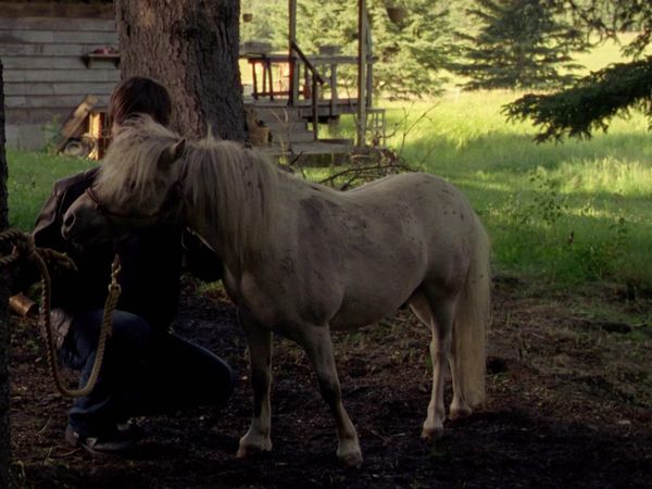 Heartland en español - Nada por sentado
