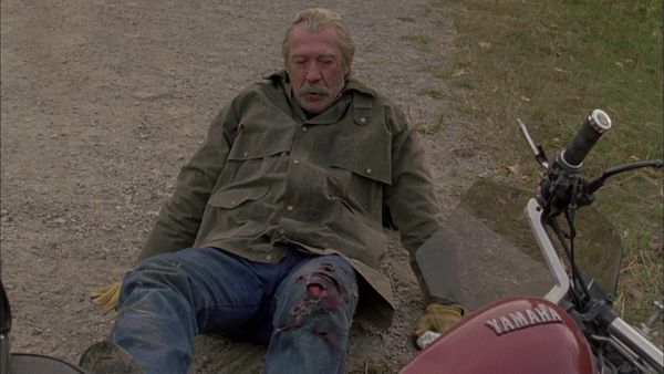 Heartland en español - Consecuencia