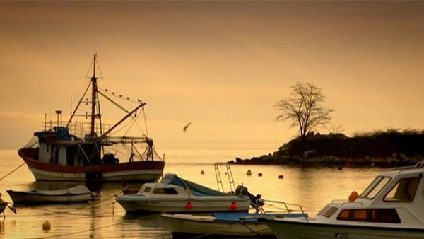 Build a New Life in the Country - Croatia