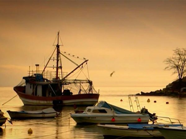 Build a New Life in the Country - Croatia