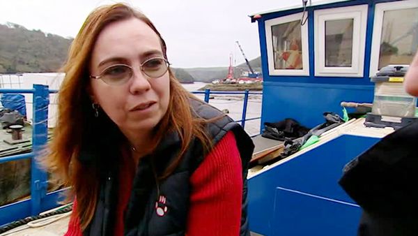 Build a New Life in the Country - Ireland Revisit